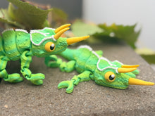 Horned chameleon Dragon