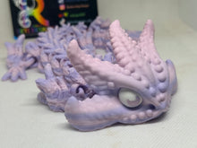 Starfish dragon 3D
