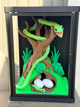 Snake enclosure with eggs
