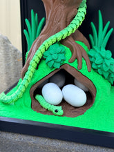Snake enclosure with eggs