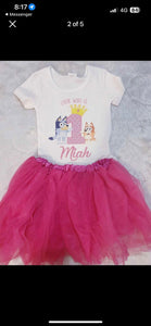 bluey girls birthday set