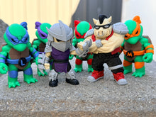 3D Ninja turtle Crew
