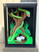 Snake enclosure with eggs