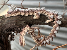 Geo woodland dragon 3D printed