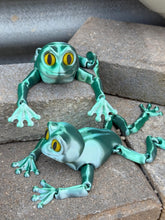 Green Tree Frog -Articulated 3D toy, fidget