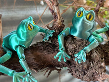 Green Tree Frog -Articulated 3D toy, fidget