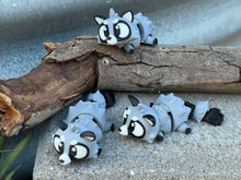 3D Racoon/ Keychain