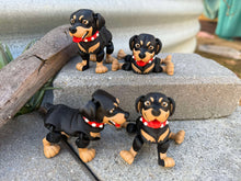 3D Rottweiler Dog