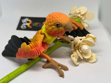 3D Printed Lovebird Parrot Bird