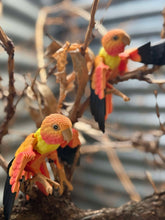 3D Printed Lovebird Parrot Bird