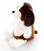 Beagle Dog Teddy