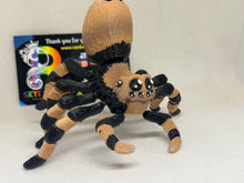 3D Creeper Spider