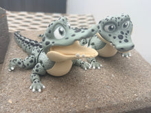 Snapper the Crocodile 3D