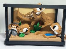 Bearded dragon aquarium set