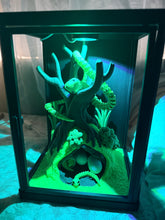 Snake enclosure with eggs