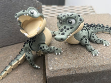 Snapper the Crocodile 3D