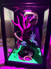 Snake enclosure with eggs