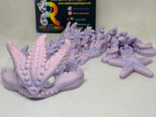 Starfish dragon 3D