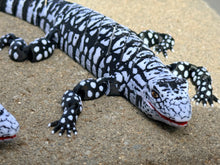 3D Black and white Lizard