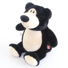 Black Bear Teddy