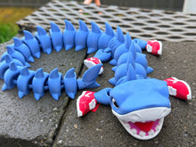 Brainrot shark Dragon