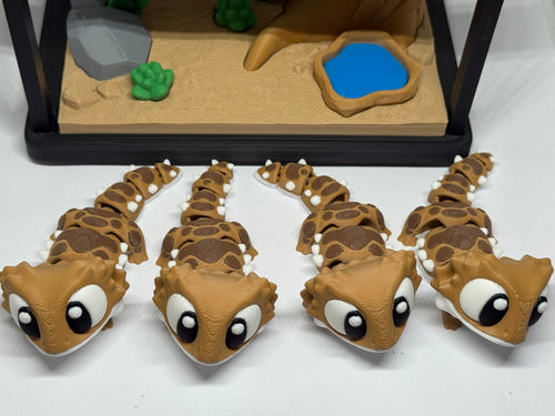 Bearded dragon aquarium set
