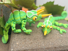 Horned chameleon Dragon