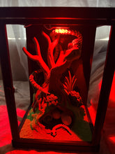 Snake enclosure with eggs