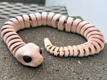 Brown tree snake