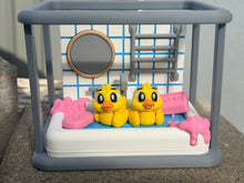 Bath time ducks playset