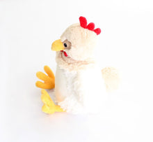 Chicken Cubby Teddy