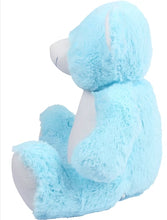 Blue Bear Teddy