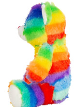 Multi-Colored Rainbow Bear teddy