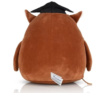 Squidgy's Wise Owl Teddy