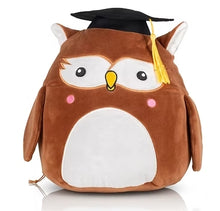 Squidgy's Wise Owl Teddy