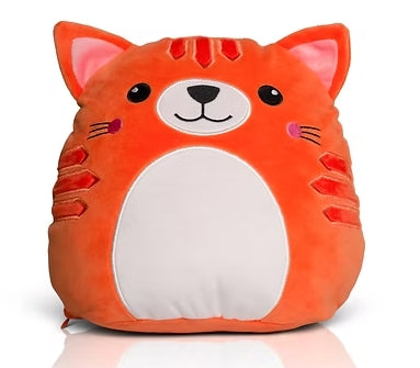 Squidgy's Cat teddy