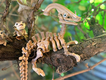 Articulated Skeleton Dino – Spooky & Adorably Quirky!