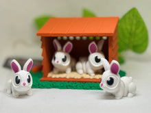 Easter Bunny Mini Hutch Set