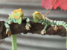 Iguana Dragon 3D Printed Articulated Dragon 30cms long