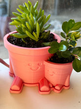 Mama & Baby Planter Duo 3D print