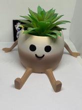 Cappuccino  Planter Pot 3D printed