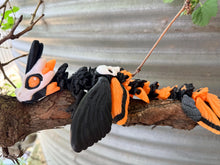 Baby Glow Moth 3D Dragon