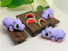 Hippo Picnic Party – Adorable Mini Display Set
