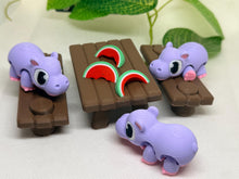 Hippo Picnic Party – Adorable Mini Display Set