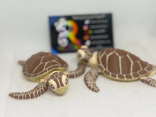 3D Cocoa the Sea Turtle