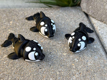 3D Orca– Full of Personality-Fidget-Collectable-Pets