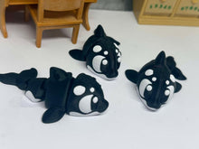 3D Orca– Full of Personality-Fidget-Collectable-Pets