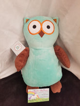 Hooty Lou the Blue/Brown Owl