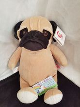 Pug the Dog