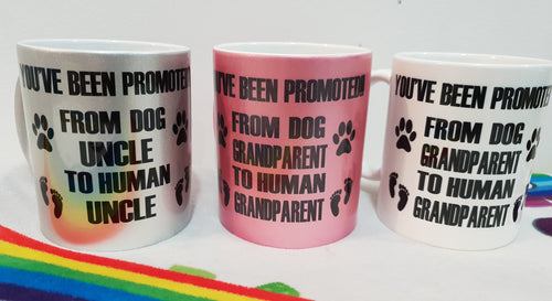 Been Promoted From Dog Grandparent to Human Grandparent Mug